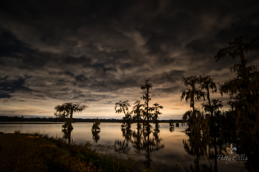 landscape 5