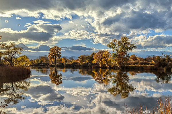 landscape 5